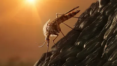 Взгляните на ужасающее изображение из Jurassic World: Dominion картинки