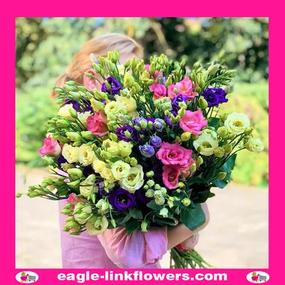 Mix Color - Eustoma Lisianthus - Eustoma Lisianthus - Eagle-Link Flowers картинки