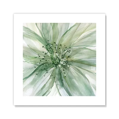 Amazon.com: Casa Fine Arts Macro Sage Flower II Green Modern X-Ray Floral Wall Art Archive Print, 10\ картинки