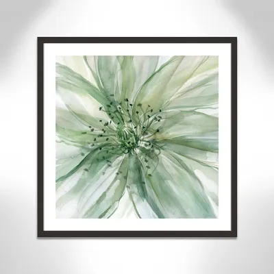 CasaFineArts Macro Sage Flower II - Живопись в рамке | Уэйфер картинки