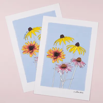Этот красочный цветочный принт Rudbeckia украшен нарисованной от руки иллюстрацией. — Дафна Роза картинки