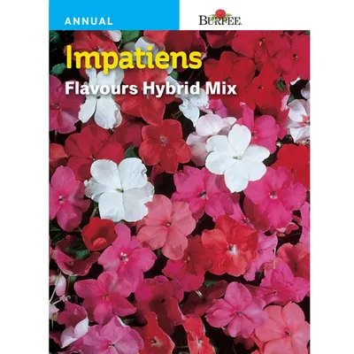 Impatiens Flavors Hybrid Mix (Pkt) | Рорер Семена картинки