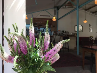 veronica flower - Изображение Cafe Zahara, Эйн-Кармель - Tripadvisor картинки