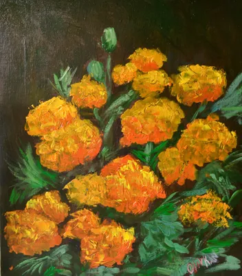 Tagetes Flower Art Картина маслом календулы, картина Olivkan Art | Artmajeur картинки