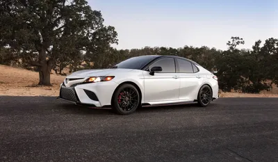 Toyota Camry против Toyota Avalon Statesboro GA | Франклин Тойота картинки