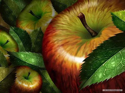 44+] Apple Fruit Wallpaper - WallpaperSafari картинки