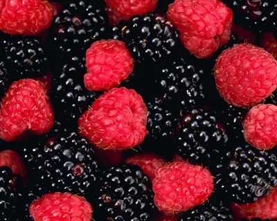 BlackBerry Fruit Wallpapers - Лучшие бесплатные обои BlackBerry Fruit Backgrounds - WallpaperAccess картинки