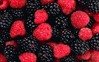 Бесплатно скачать Blackberry Fruit Wallpaper HD Photos [2560x1600] для рабочего стола, мобильного и планшета | Исследуйте 43+ Фруктовые обои HD | Обои с фруктами, обои с фруктами, обои с фруктами картинки