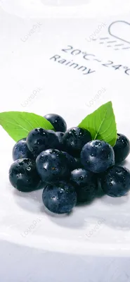 Blueberry Fruit Обои для мобильного телефона Скачать бесплатно на Lovepik | 400538226 картинки