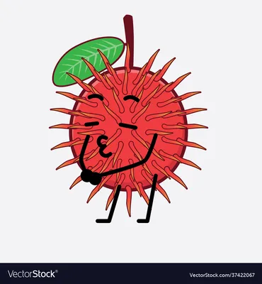 Симпатичный персонаж из фруктов рамбутана с простым лицом Векторное изображение картинки