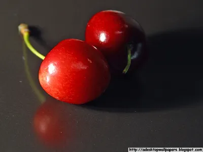 Бесплатно скачать Cherry Cherries Fruit Wallpapers Desktop Wallpapers PC Wallpapers Free [1024x768] for your Desktop, Mobile \ u0026 Tablet | Исследуйте 47+ вишневых обоев для рабочего стола | Cherry Blossom Background, Cherry Blossom Wallpaper, Cherry Blossom Backgrounds картинки