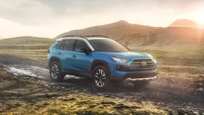 Размеры и вес Toyota RAV4 2020 | Зеленая Тойота картинки