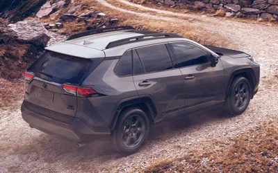 2020 Toyota RAV4 TRD Off-Road (США) - Обои и картинки в высоком разрешении | Автомобильный пиксель картинки