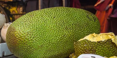 Какой на вкус фрукт Musang King Durian? - Энтузиасты растений Exotica NZ картинки