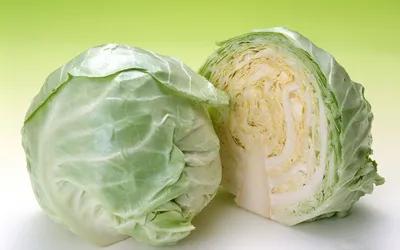 Скачать бесплатно 10 Cabbage HD Wallpapers Фоновые изображения [1920x1200] для рабочего стола, мобильного и планшета | Исследуйте 31+ обоев с капустой | Викторианские обои капусты розовые, обои капусты розовые, узоры обоев капусты розовые картинки