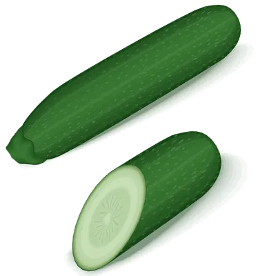 Файл:Green-zucchini.svg — Викисклад картинки