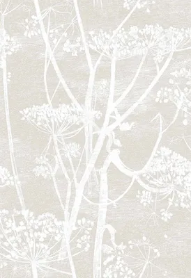 Обои Cow Parsley Contemporary Restyled 95/9051 от Cole \ u0026 Son - joyfulwallpapercompany.com картинки