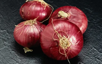 10+ Onion HD Wallpapers и Hintergründe картинки