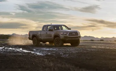 Скачать бесплатно 17 обоев Toyota Tacoma 2016 HD с высоким разрешением Скачать [2259x1381] для рабочего стола, мобильного и планшета | Исследуйте 99+ обоев Toyota Tacoma | Обои Toyota Tacoma, обои Tacoma, обои Toyota Tacoma 2016 года картинки