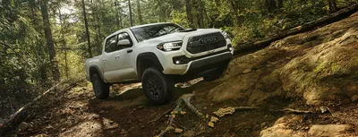 2021 Toyota Tacoma предлагает традиционно надежную надежность | Ривертаун Тойота картинки