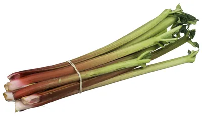 Файл:CSA-Rhubarb.jpg — Викисклад картинки