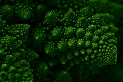 Бесплатное фото: Macro Romanesco Broccoli - Low Key HDR - Abstract, Nature, Produce - Скачать бесплатно - Jooinn картинки