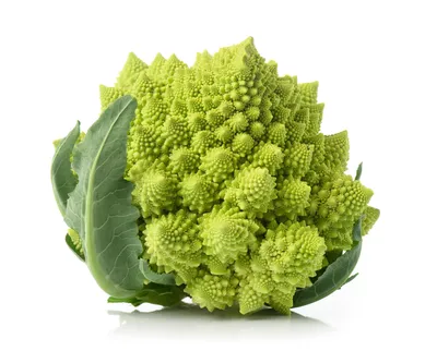 Премиальные семена Green Fractals Romanesco Цветная капуста Брокколи - Etsy Россия картинки