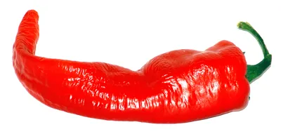 Файл:Large Cayenne.jpg — Викисклад картинки