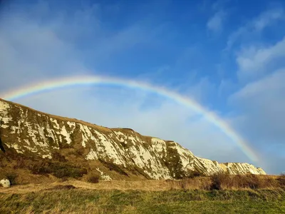 Samphire Hoe в Твиттере: \ картинки