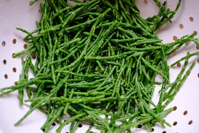 Salicornia Рецепт Рецепт Топ 3*** | Томас Сикст Foodblog картинки