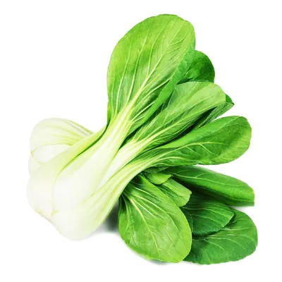 Капуста Sow No GMO Cabbage Pak Choi Bok Choy Японская / китайская капуста без кочана Листовая без ГМО Семейная реликвия Азиатский овощ 200 семян картинки