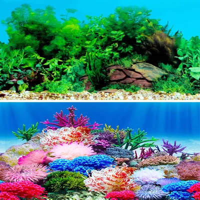 Amazon.com : LENDAWAY New Undersea Coral, Seaweed Background Аквариумное украшение для фона 25 x 15 (дюймы): Зоотовары картинки