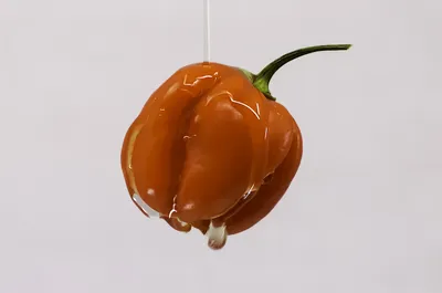 Рецепт простого сиропа и конфет Habanero — Island and Spice картинки