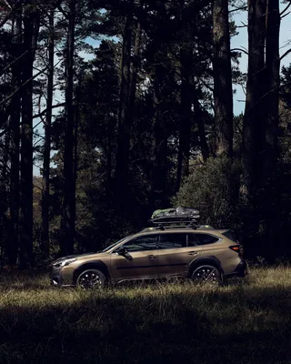 Обзор первой поездки: Subaru Outback Wilderness 2022 года — лучший Outback в городе и на природе картинки