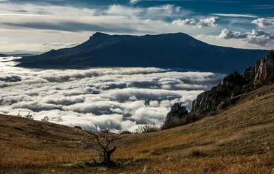 Чатыр-Даг в Крыму: где находится гора, фото, местонахождение на карте, как  добраться картинки