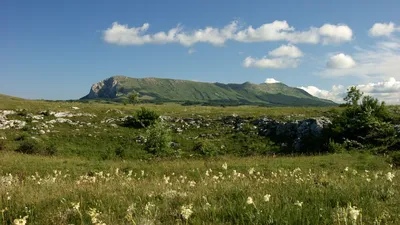 В Крыму мужчина сорвался с горы Чатыр-Даг и повредил позвоночник картинки