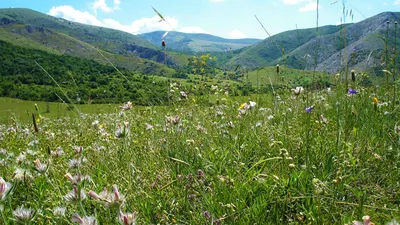 Гора Чатыр-Даг в Крыму: где находится на карте России, фото, отзывы  туристов, как добраться картинки