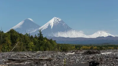 Число погибших при восхождении на Ключевской вулкан выросло до шести - РИА  Новости, 04.09.2022 картинки