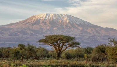 Национальный парк горы Килиманджаро - MAMUYA SAFARIS картинки