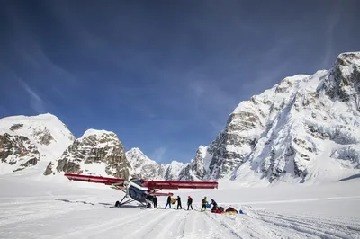 Денали: фоторепортаж - Alpine Ascents International картинки