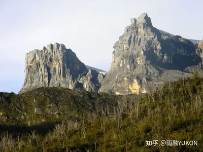 全球最高岛上山峰：高4884米大洋洲第一，一年产33吨黄金90吨白银- 知乎 картинки