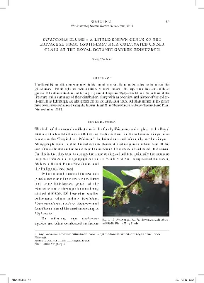 PDF) Diplycosia Blume - A little-known genus of the Ericaceae from  South-East Asia cultivated under glass at the Royal Botanic Garden Edinburgh картинки