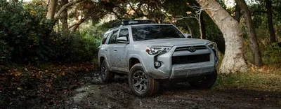 2019 Toyota 4Runner TRD Pro Обои [HD] - DriveSpark картинки