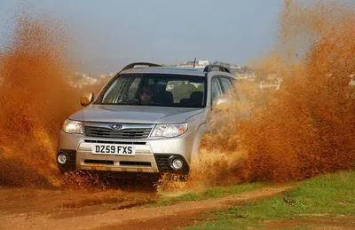 Когда Subaru Forester является подходящим инструментом для работы - Wheel World Reviews картинки