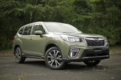 Внедорожник 2018 Subaru Forester в лесу Обои для рабочего стола 1280x800 картинки