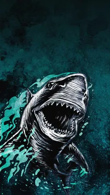 Большая белая акула обои для iPhone - Обои для iPhone : Обои для iPhone | Shark wallpaper iphone, Обои для iPhone, Темные обои Hd картинки