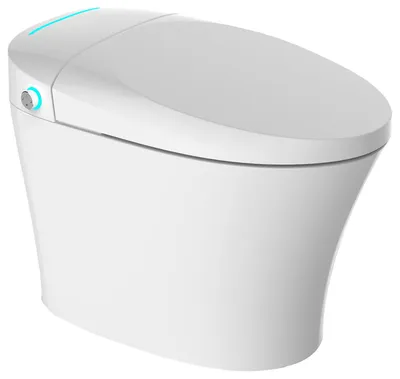 Adele 1-Piece Elongated Electronic Bide Toilet White - Современный - Унитазы - от эксперта Concept Baths and Interiors | Хоузз картинки