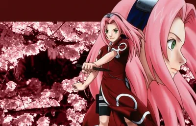 Naruto And Sakura Wallpapers and Backgrounds 4K, HD, Dual Screen картинки