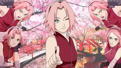 Wallpaper desktop Sakura | Sakura haruno, Sakura, Anime art картинки