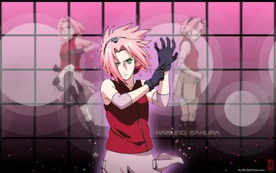 Download Naruto Anime Fierce Sakura Haruno Wallpaper картинки